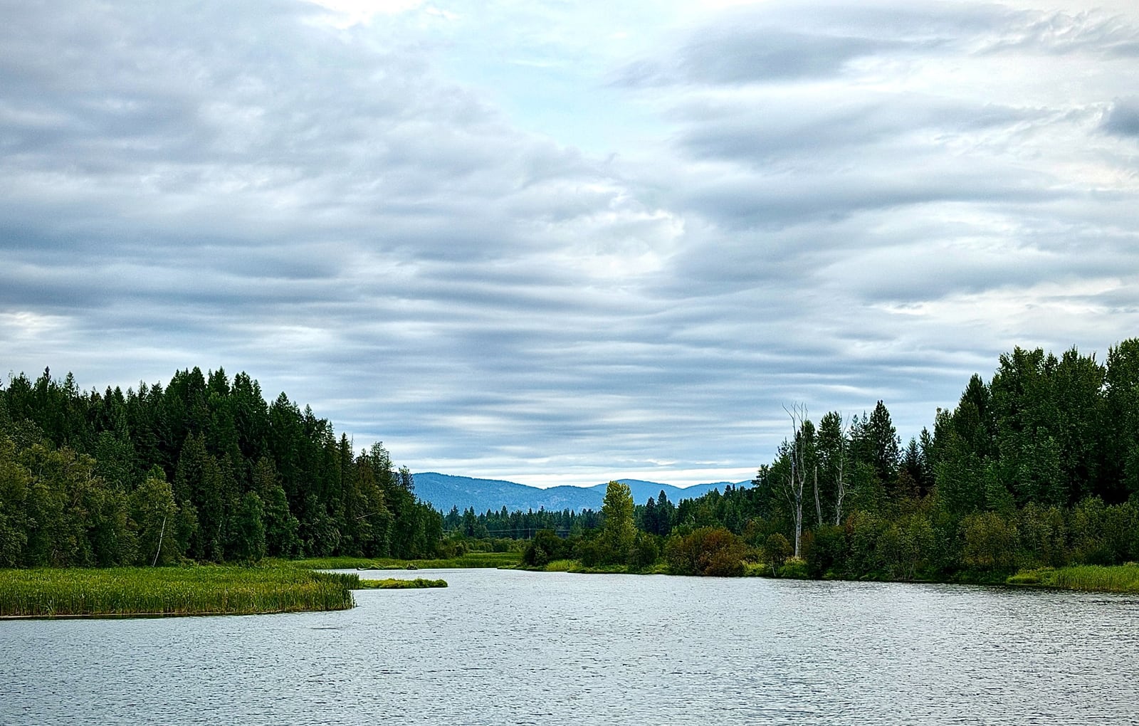 North Idaho river, forest, and mountain landscape